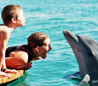 Eilat pour les familles : 24 heures de plaisir sans fin