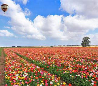 La Galilée pour les couples : la Toscane en Israël