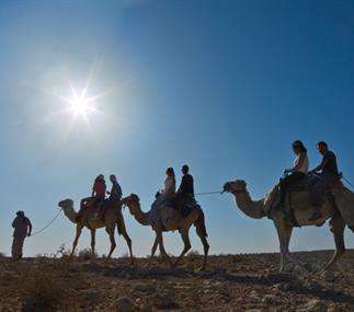 Le Néguev pour les familles : une oasis de plaisir dans le désert