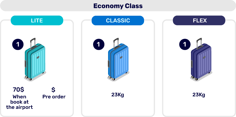 https://www.elal.com/SiteCollectionImages/LongLuggage/English/Luggage-Europe_1.png