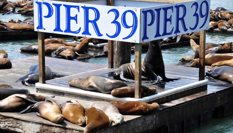 סן פרנסיסקו, ארה"ב