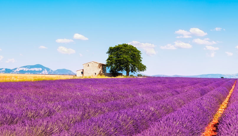 פרובאנס, צרפת