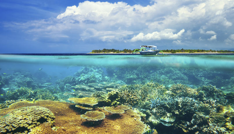 הפיליפינים