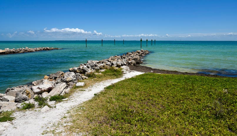 טיסות לטמפה, ארה"ב