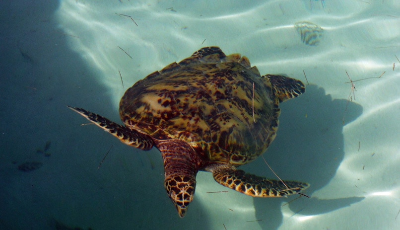 קנקון, מקסיקו
