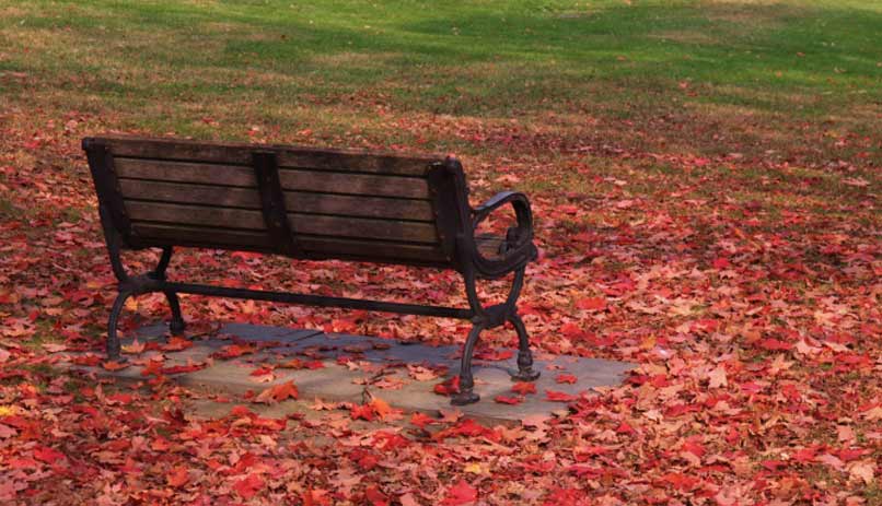 שלכת בניו אינגלנד, ארה