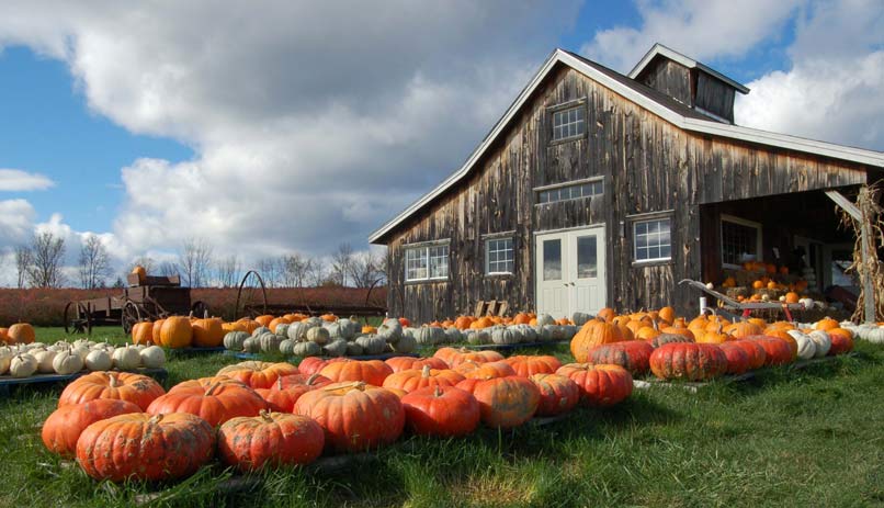ורמונט, ארה"ב