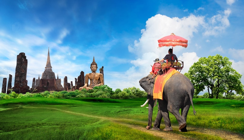 פיל, תאילנד