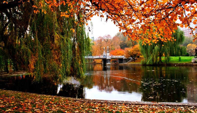 בוסטון, ארה