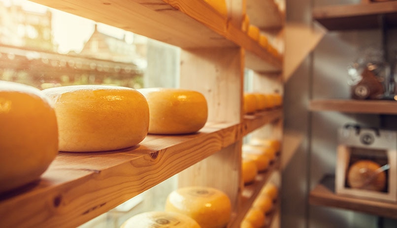 גבינה הולנדית