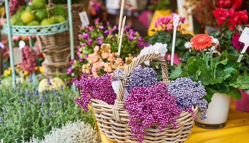 דוכן פרחים ב-Viktualienmarkt, מינכן