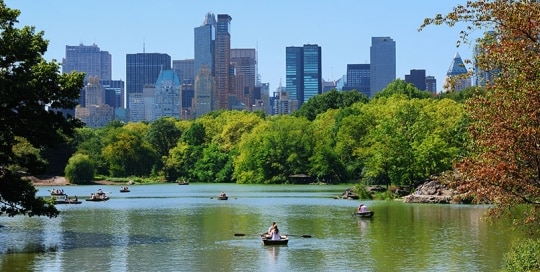 סנטרל פארק, ניו יורק