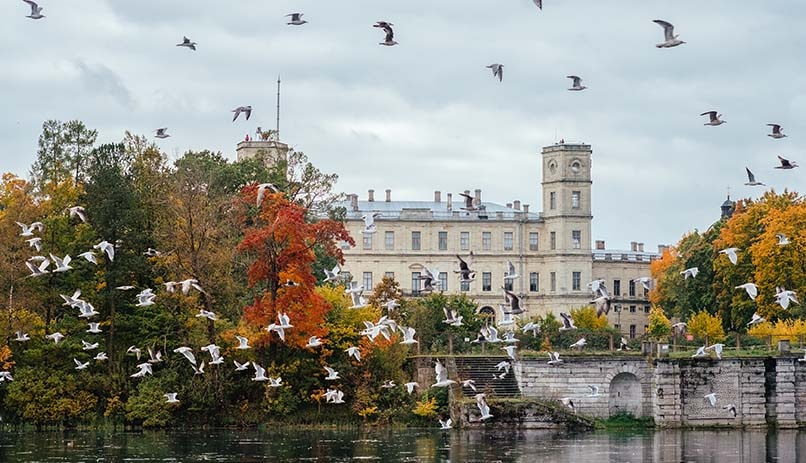 סתיו בסנט פטרסבורג