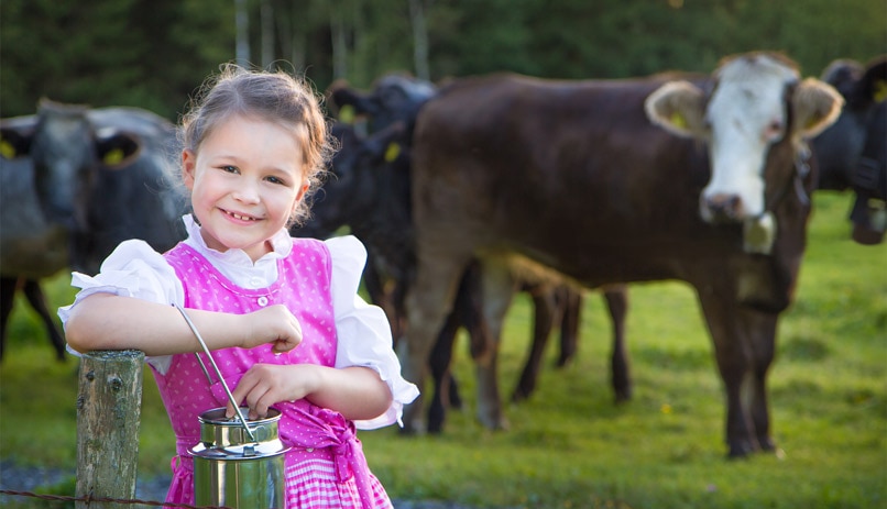 שלל אטרקציות לילדים. מינכן