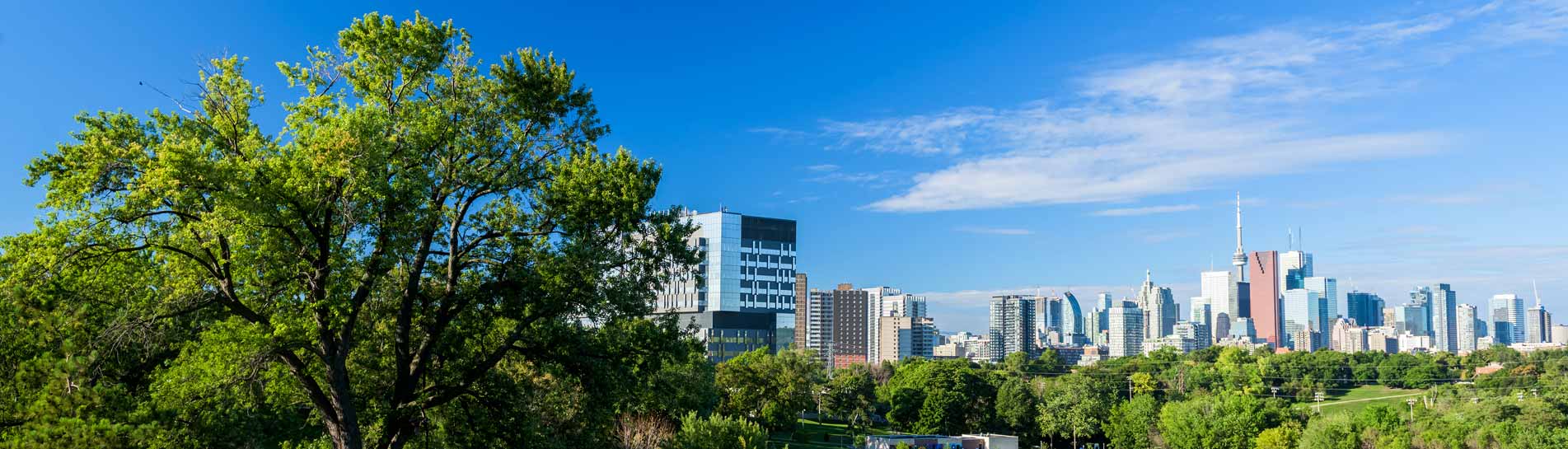 טורונטו עם ילדים: פארקים ומוזיאונים לכל המשפחה
