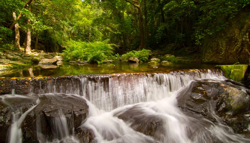 מפל ביער הגשם שנמצא בעיירת הנמל קיירנס, אוסטרליה