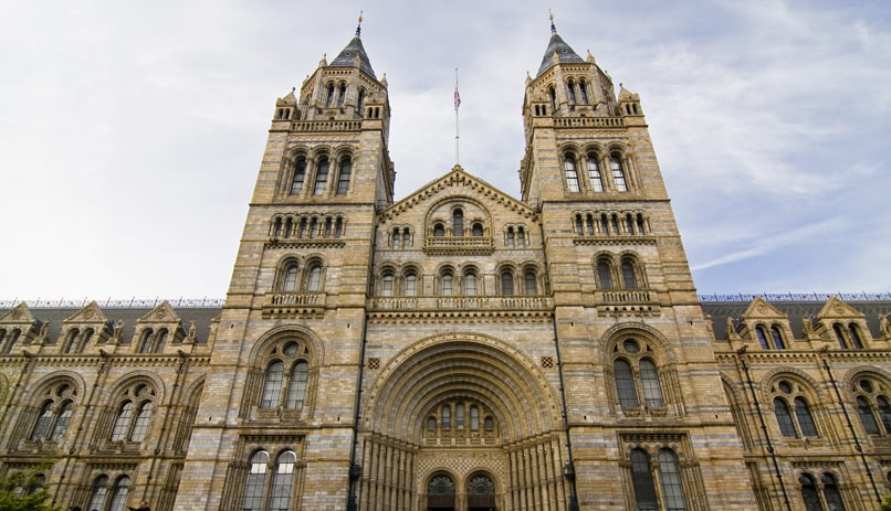 אל תפספסו את מוזיאון הטבע. לונדון