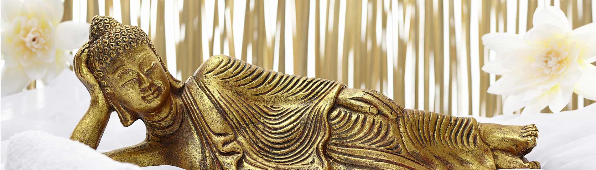 לא צריך להתכלב: 3 טיולי תענוגות בהודו