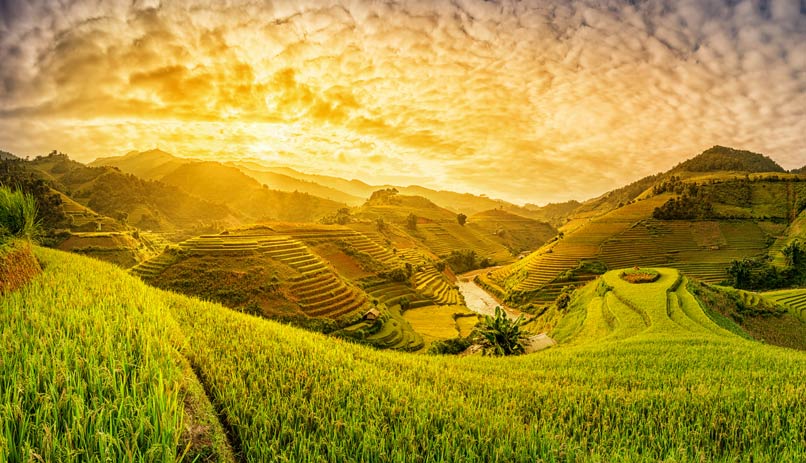 סאפה, וייטנאם