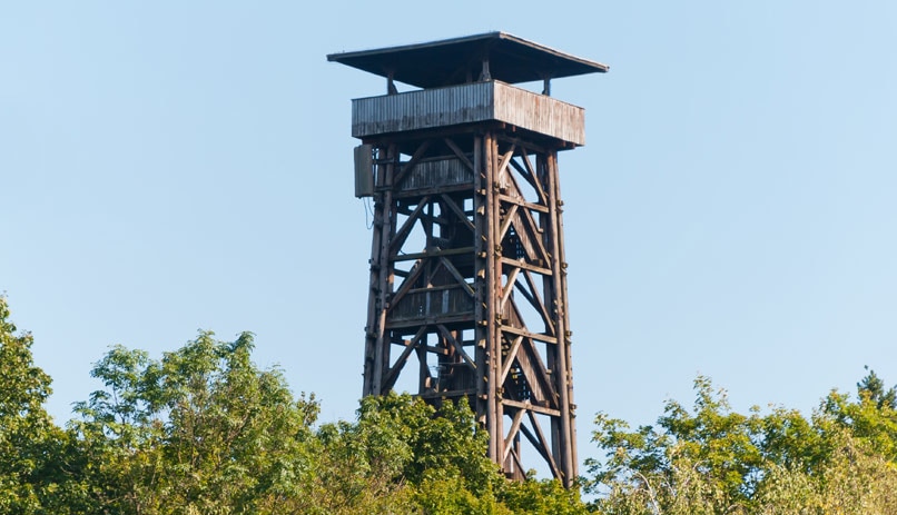 מגדל גתה. פרנקפורט, גרמניה