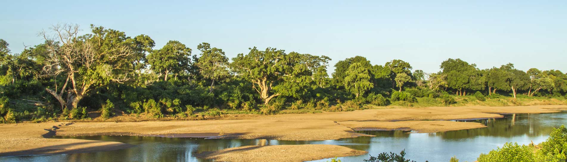 דרום אפריקה: ספארי בפארק קרוגר וקפיצה למוזמביק דרום אפריקה: ספארי בפארק קרוגר וקפיצה למוזמביק