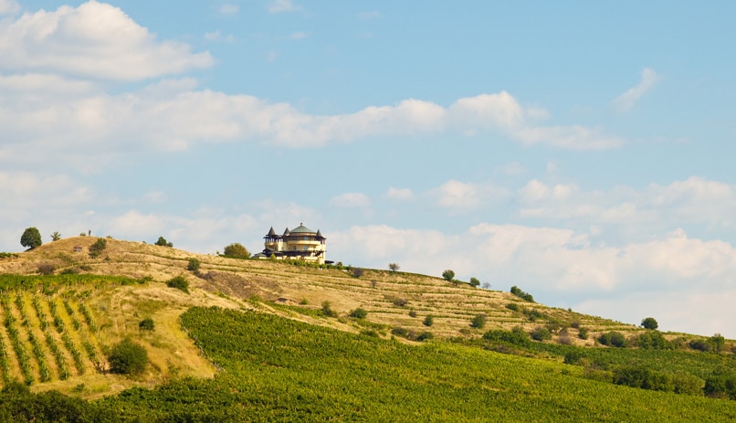 כרמים בסמוך למלניק, בולגריה