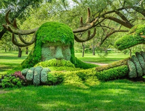 קנדה: 6 ימים משפחתיים במונטריאול וקוויבק