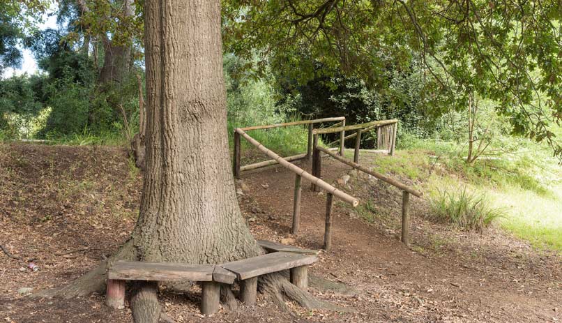 מסלול בושמן. פארק קרוגר, דרום אפריקה