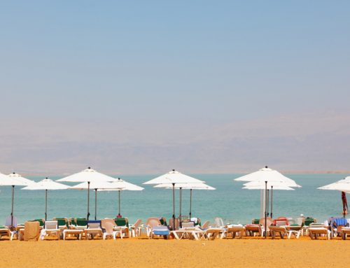 Dead Sea for young people: Discover the wonder