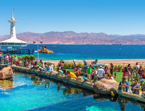 Eilat for families: 24 hours of fun
