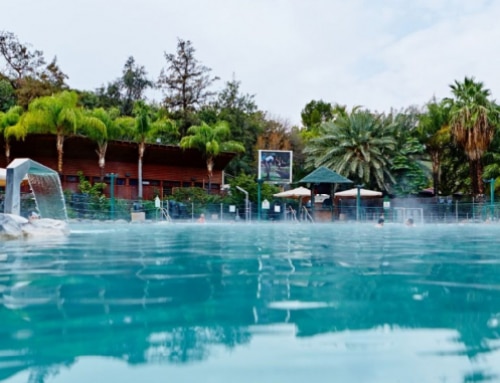 Two family oriented tours through Galilee