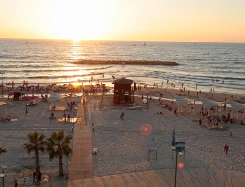 Nightlife in Tel Aviv: Where Can You Feel the City’s Energy After Dark?