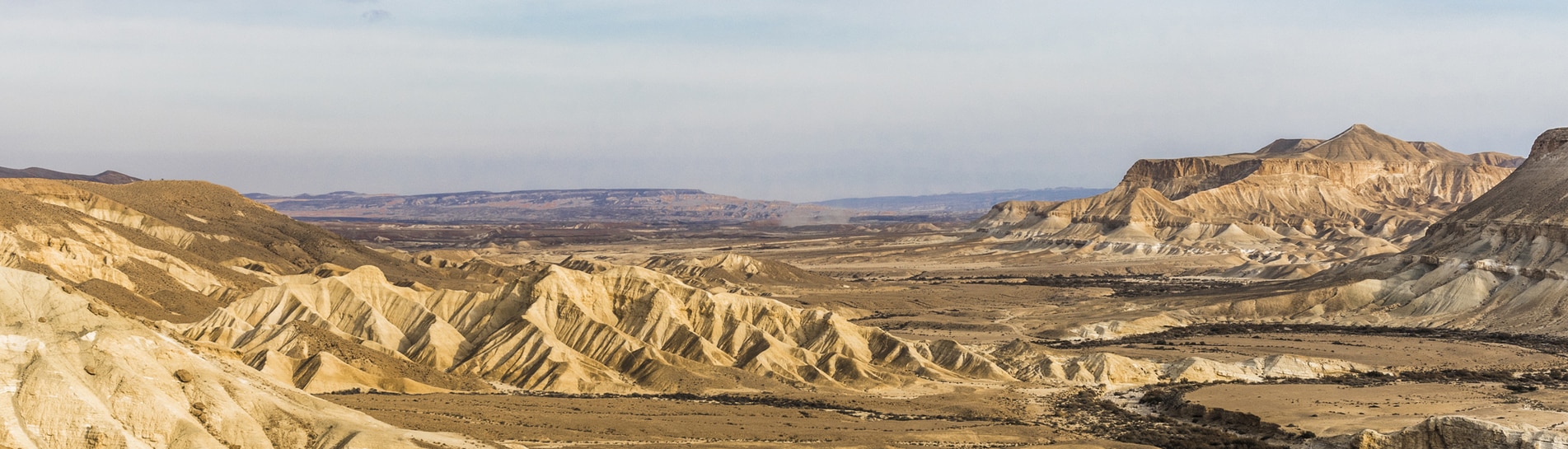 Découvrez le Sud d’Israël, le Néguev