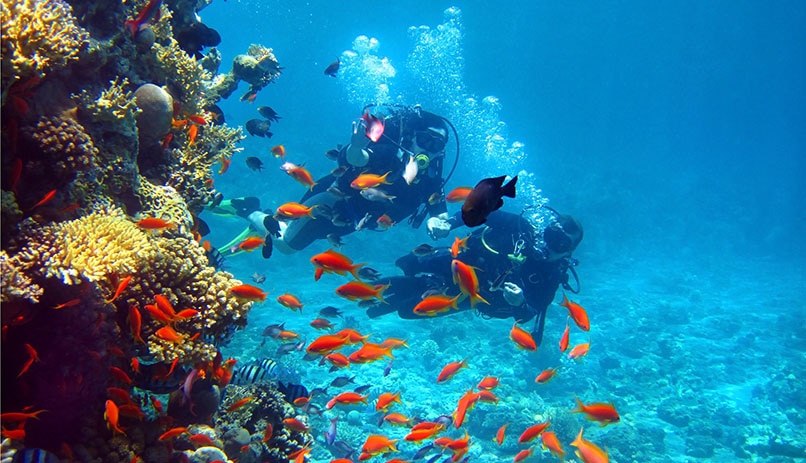 Diving as a couple in Eilat