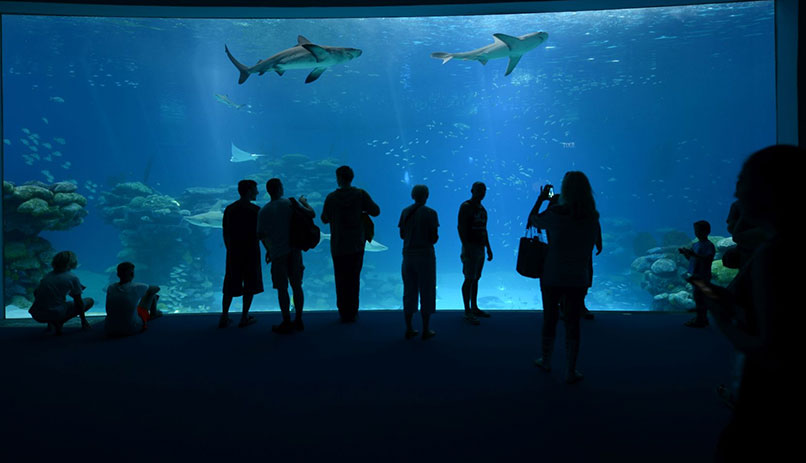 Activities for kids in Eilat