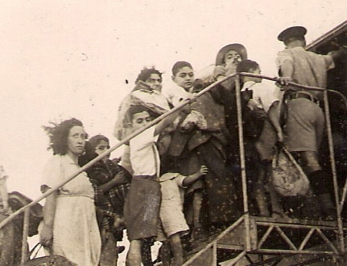 “ואשא אתכם על כנפי נשרים”: סיפורי עליות שנות ה-50