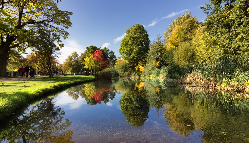 יעד רומנטי לט"ו באב – וונדלפארק, אמסטרדם