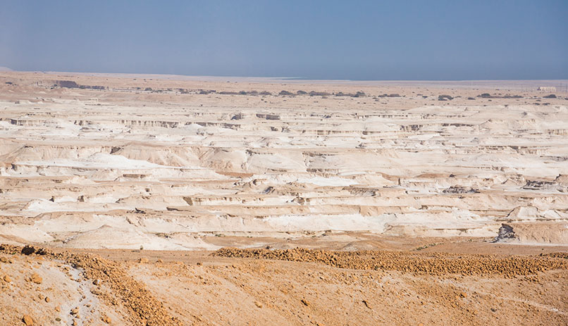 Dead sea with kids