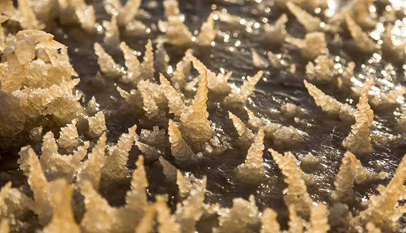 Le sel de la Mer Morte