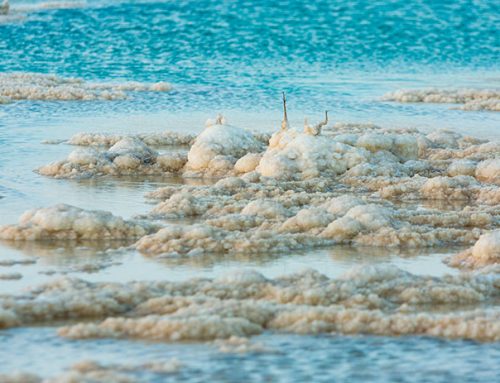 Get to know the Dead Sea