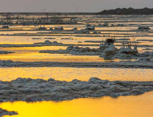 Dead Sea for couples: Romance in a natural wonder