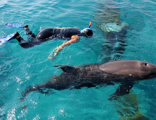 Eilat Attractions You’ll Love