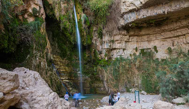 Ein Gedi