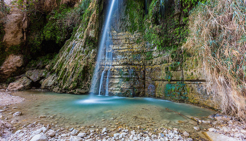 Attractions in The Dead Sea