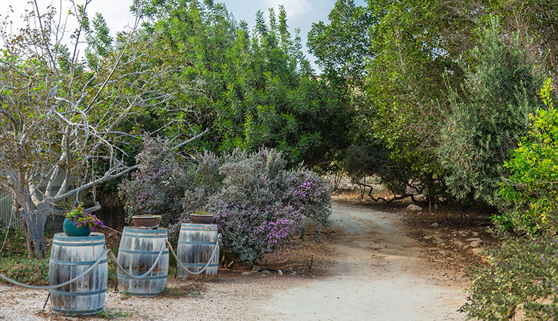 Attractions in the Negev