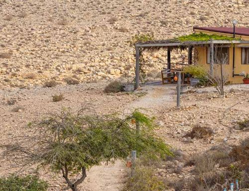 Hot & Romantic: Negev for couples