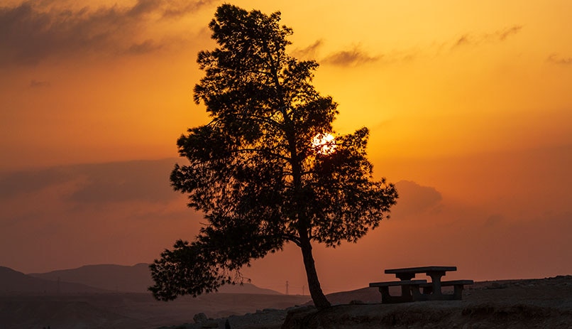 Negev Desert hiking and tours