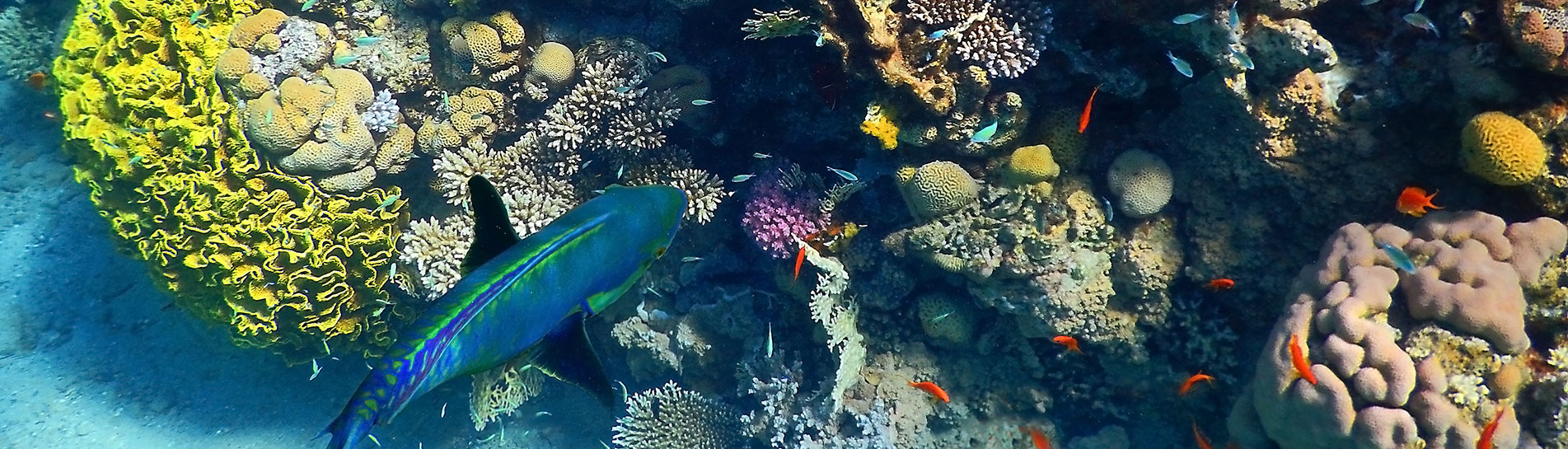 Eilat Attractions You’ll Love