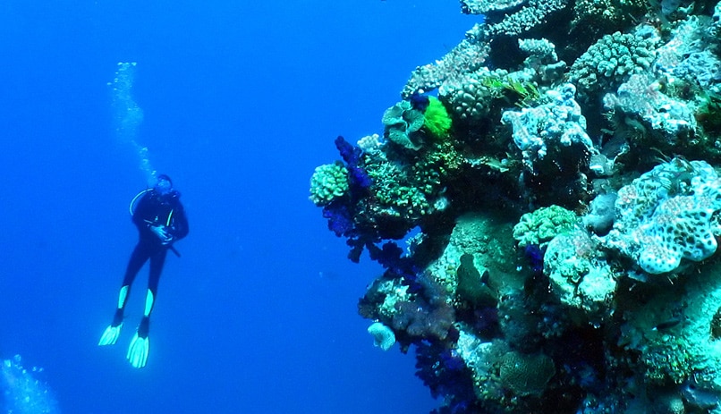 צלילה, שונית המחסום הגדולה, אוסטרליה