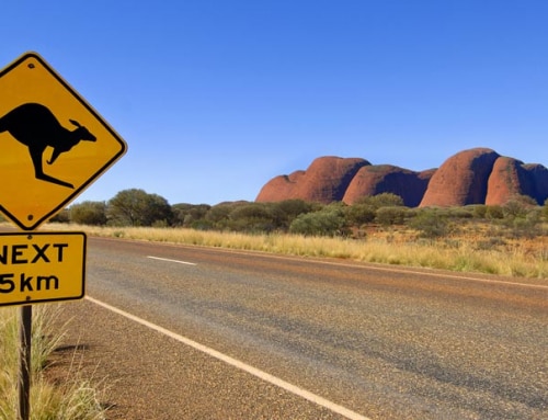 חופש אינסופי: מסע מרתק אל עומק המדבר האוסטרלי